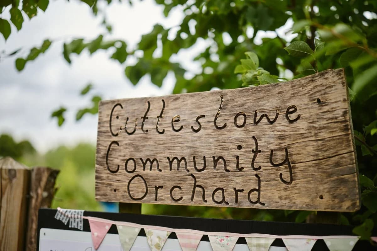 Cutteslowe Community Allotment Work Party