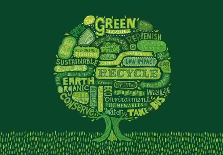 Local Eco Projects